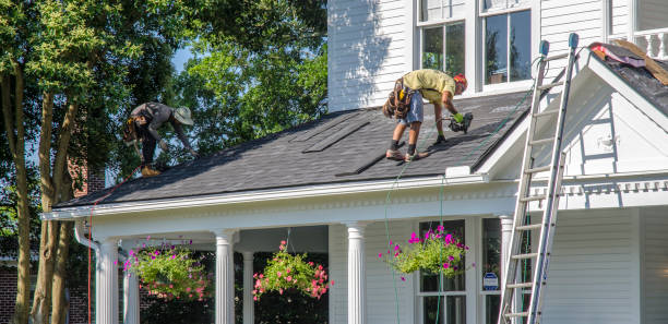 Best Roof Gutter Cleaning  in Columbia, PA